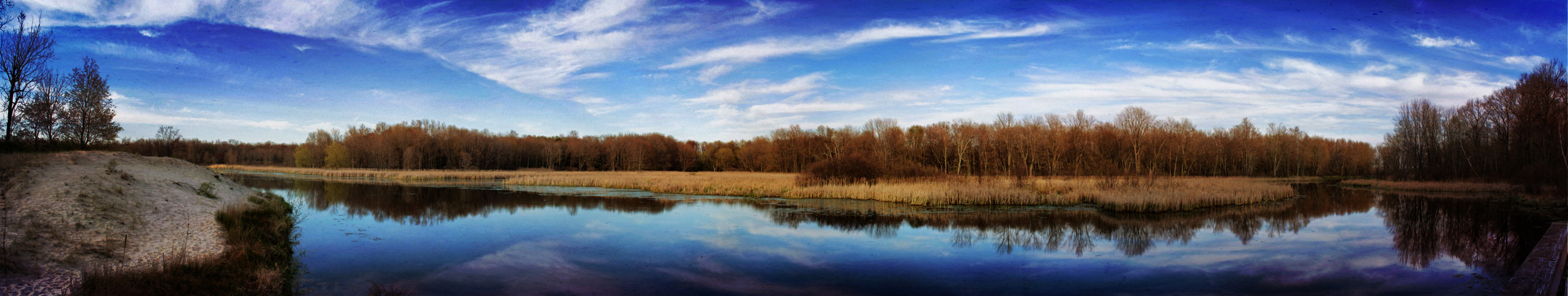 Black Pond Wetland Panorama